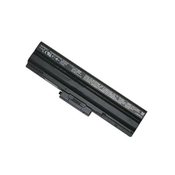 SONY VAIO BPS13-BPS21.jpg